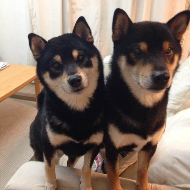 冬季运动安全教育月活动全面展开,冬季运动会安全教育主题班会教案