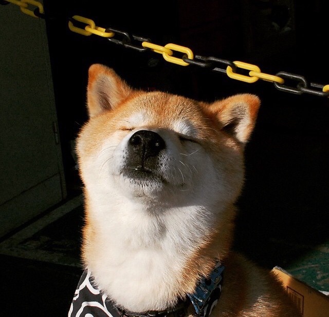 开云体育在线赛事直播-斯洛伐克女篮在欧洲预赛中表现优异，迈向奥运资格，斯洛伐克队欧洲杯大名单